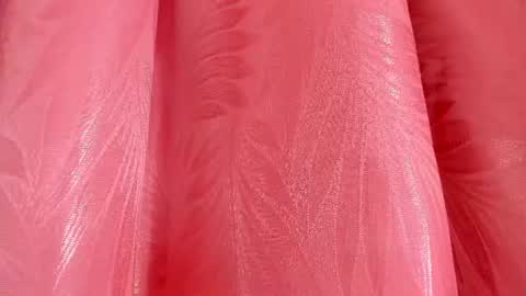 Snapshot of mia_nova5 chatting on July 2026 11:51:02 AM mia_nova5 online show from July 2026 11:51:02 AM