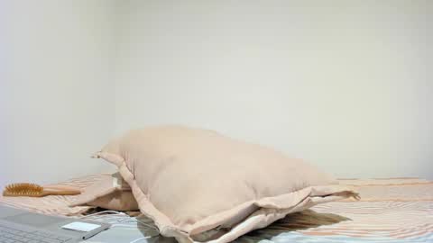 MIA INDEPENDENT MODEL  online show from October 2025 05:03:01 PM