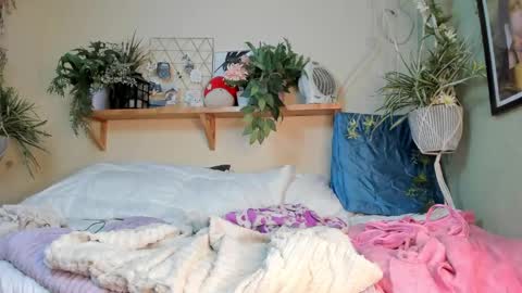 Miaa online show from December 2024 10:16:02 AM