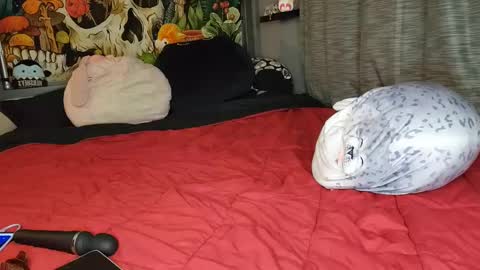 Mia Love online show from February 2025 06:12:01 AM