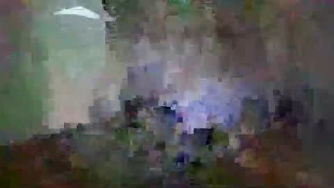 Snapshot of miagomezx chatting on February 2026 12:02:02 PM miagomezx online show from February 2026 12:02:02 PM