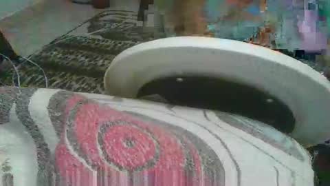 Snapshot of miagomezx chatting on February 2026 04:42:01 AM miagomezx online show from February 2026 04:42:01 AM