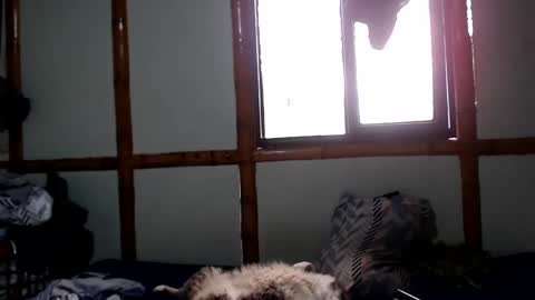 Snapshot of miahells chatting on October 2025 04:05:02 PM Mia Sam online show from October 2025 04:05:02 PM