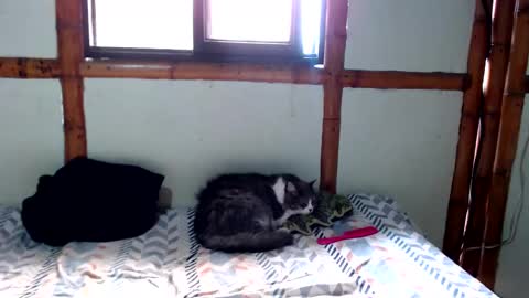 Snapshot of miahells chatting on November 2025 04:18:02 PM Mia Sam online show from November 2025 04:18:02 PM