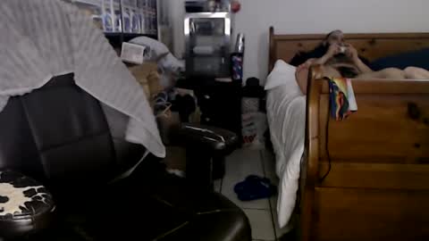 Mark online show from January 2025 06:06:01 AM