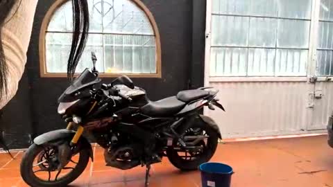 miaoconell online show from October 2025 07:03:02 PM