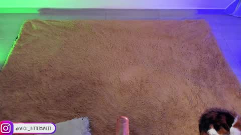         online show from January 2025 10:11:02 PM