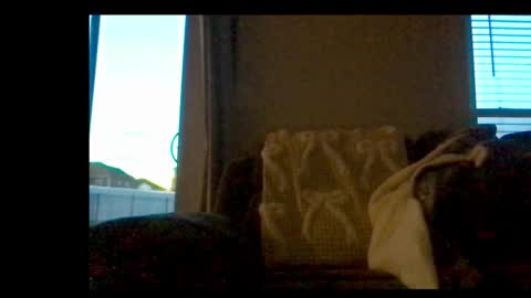 Snapshot of michaelt483 chatting on February 2026 11:06:01 PM michaelt483 online show from February 2026 11:06:01 PM