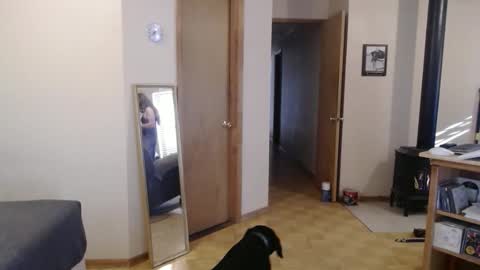 Michelle online show from February 2025 03:56:02 PM