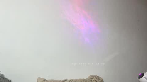 michellepetitte online show from September 2025 04:05:02 AM