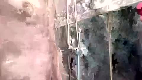 mickavis1975 online show from February 2025 05:24:02 PM