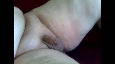 micropimmel online show from January 2026 12:53:02 PM