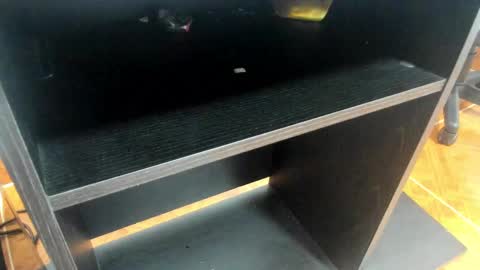 Snapshot of miia_taylor_1_ chatting on February 2025 11:10:02 AM Mia online show from February 2025 11:10:02 AM