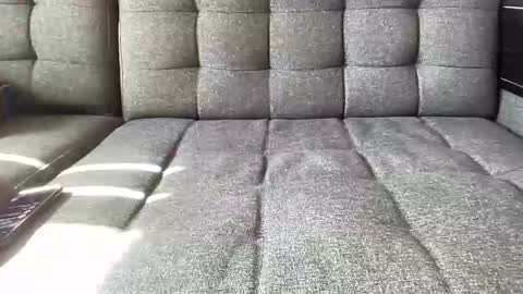 anonguy1910324 online show from October 2025 06:23:01 PM