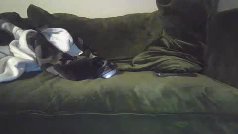 mike_davis44444 online show from January 2025 07:07:02 AM