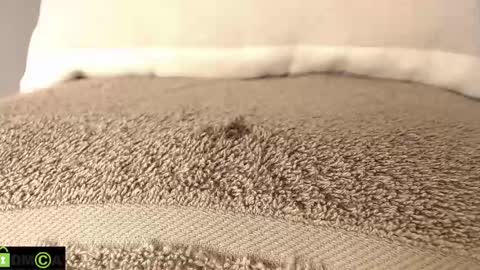 Mikell Williams online show from March 2025 08:52:01 PM