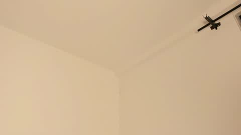 Snapshot of mila_monty__ chatting on February 2025 07:28:01 AM online show from February 2025 07:28:01 AM