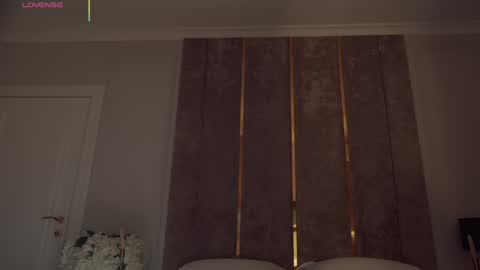        online show from October 2025 02:56:02 PM