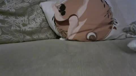 Snapshot of milanbaros83 chatting on December 2024 07:56:01 PM AlphaMale online show from December 2024 07:56:01 PM