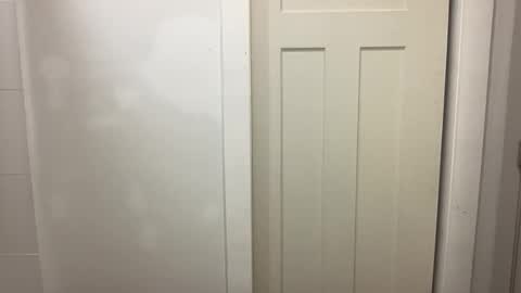 HungCollege online show from December 2025 04:19:01 AM