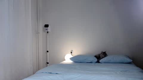 milky__way_ online show from January 2025 01:35:01 PM