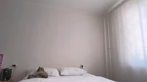 milky__way_ online show from March 2026 12:41:01 PM