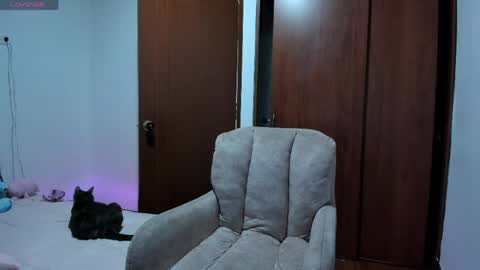 insta    online show from April 2026 03:09:01 AM