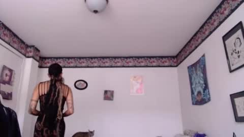 Anarkitten  online show from January 2025 08:31:02 PM