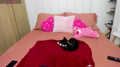 missangeldust online show from November 2025 12:41:02 PM