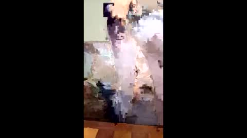 missb901 online show from March 2026 09:15:02 AM