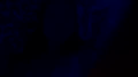 Nayyy online show from March 2025 08:55:01 AM