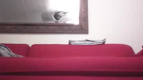 misshollywoodbaby online show from September 2025 11:48:01 PM