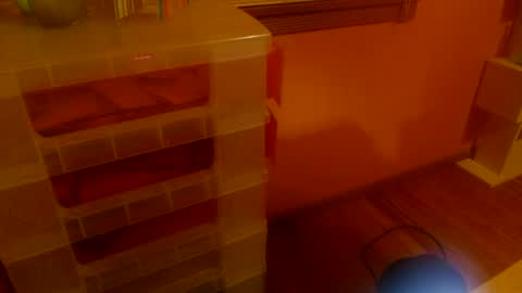 Snapshot of misskittyfox chatting on June 2026 04:56:01 AM MissKittyFox online show from June 2026 04:56:01 AM
