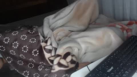 Snapshot of misspink152015 chatting on December 2024 04:30:02 AM sarah online show from December 2024 04:30:02 AM