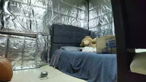 SCARLETH online show from November 2025 02:55:02 AM