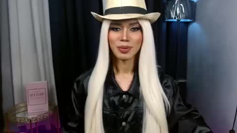 Stella online show from October 2025 08:01:01 AM