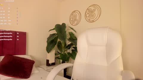 Snapshot of missvaleriaa chatting on January 2025 11:43:01 AM Valeria Davila online show from January 2025 11:43:01 AM