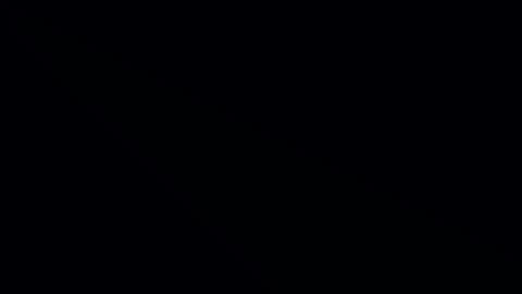 Mistersnook online show from February 2025 11:12:01 AM