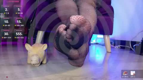 Jhadee online show from December 2025 03:15:01 AM