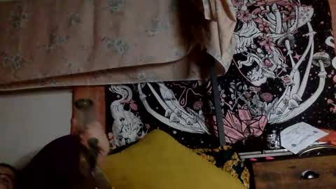 Mistress Mystii online show from January 2025 06:28:02 AM