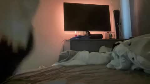 Snapshot of mitchellw7752 chatting on December 2024 12:57:02 PM mitchellw7752 online show from December 2024 12:57:02 PM