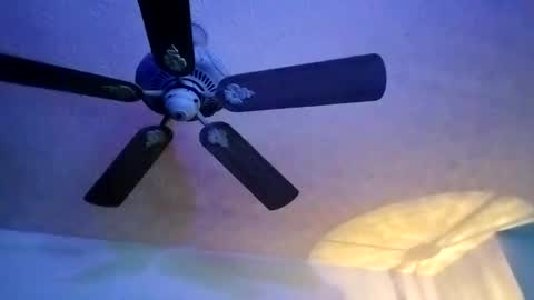 BobbyMitchGa online show from February 2025 07:04:02 AM