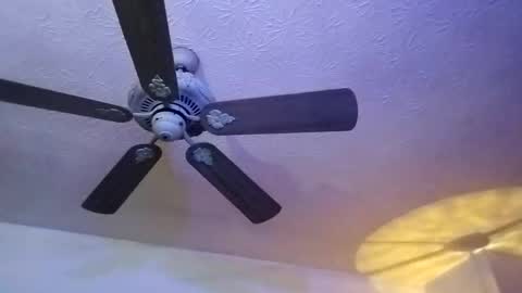 BobbyMitchGa online show from February 2025 12:44:02 PM