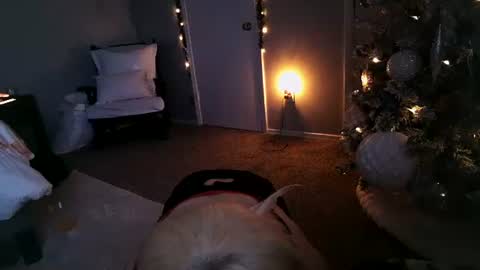 Angel online show from December 2024 11:30:01 AM