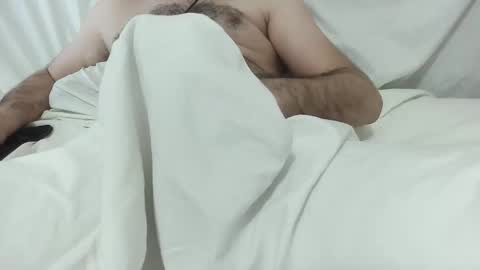 Laith online show from January 2026 11:46:02 AM