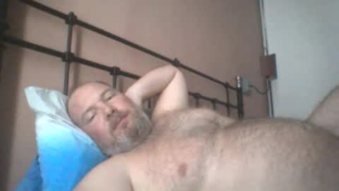 Snapshot of mofu781s chatting on June 2026 11:52:01 AM mofu781s online show from June 2026 11:52:01 AM