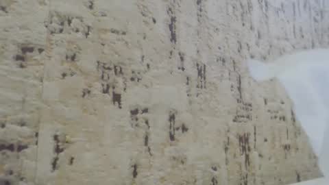 Mohito200711 online show from January 2025 10:41:01 AM