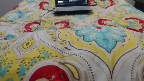 Molly And Brad online show from September 2025 09:27:01 PM