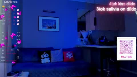 Snapshot of mollyyank chatting on February 2025 10:18:02 AM Molly online show from February 2025 10:18:02 AM