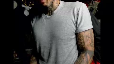 Molotov online show from February 2026 10:08:01 PM